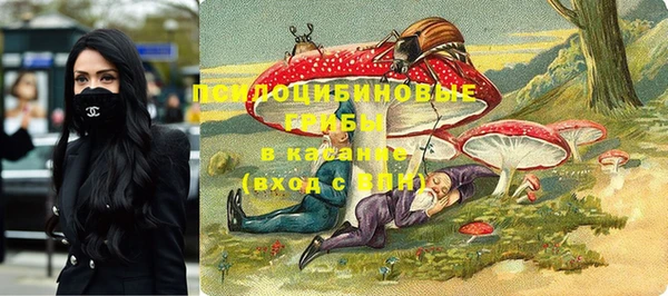 mdpv Медвежьегорск