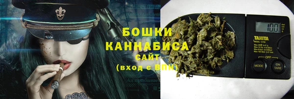 прущая мука Дмитриев