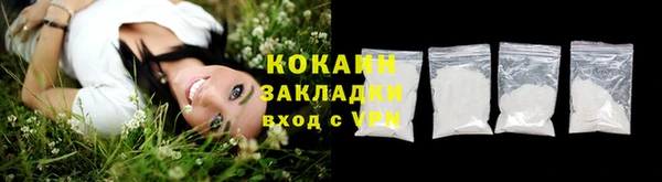 прущая мука Дмитриев