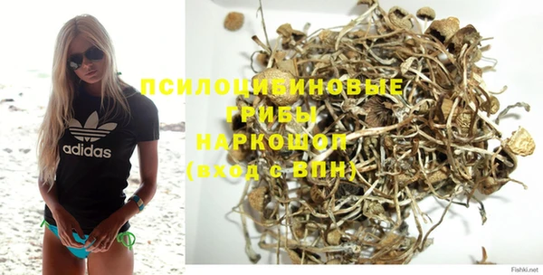 прущий лед Дмитров