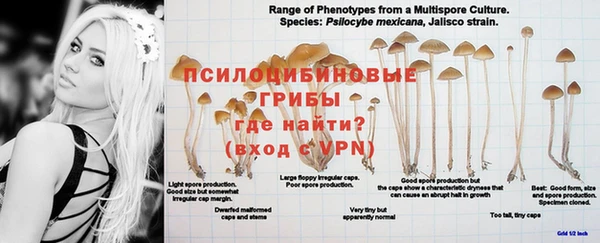 прущий лед Дмитров