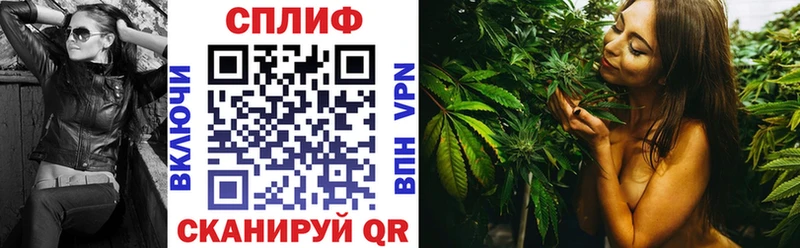 Конопля SATIVA & INDICA  купить наркотик  Новосокольники 